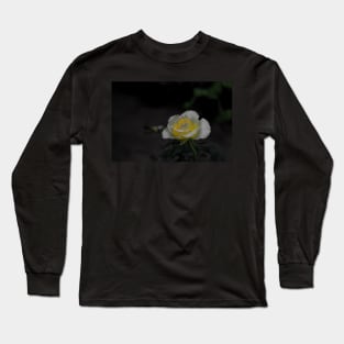 White rose blossom with bright yellow center on dark green black background Long Sleeve T-Shirt